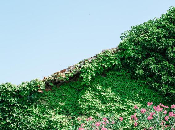 Bed and Breakfast La Barchessa Corva Exterior foto